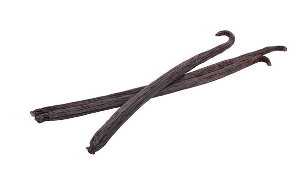 vanilla pods isolated on transparent png