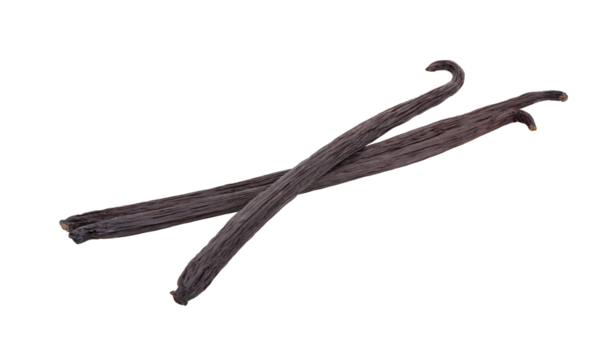 vanilla pods isolated on transparent png