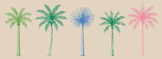 Obraz premium Various Palm tree set. Colorful tropical plants. Coconut, beach palms. Abstract bright silhouettes. Hand drawn modern Vector illustration. Isolated design elements. Print, sticker templates