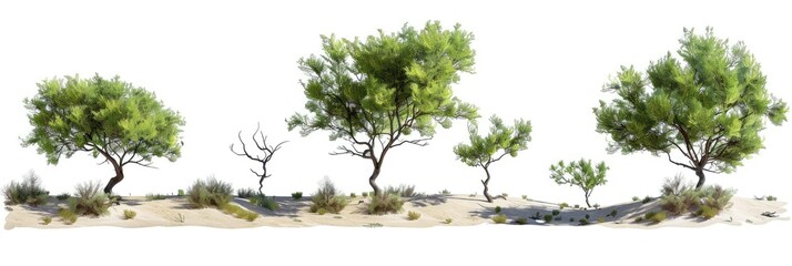 Sagebrush tree, different sizes, realistic rendering style, white background, multiple poses and expressions, simple, 3d model, cartoon