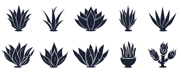 set of agave icon, simple vector style, black on white background, graphic design elements, logo designs, vector graphics, monochrome palette, minimalistic and clean lines, bold outline