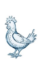Fototapeta premium Splash of water shaped like a chicken on a solid white background