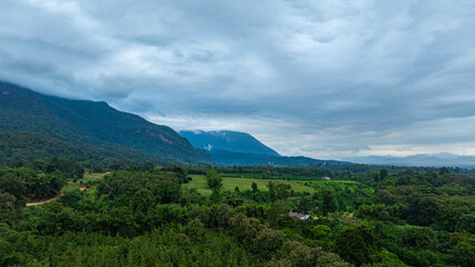 A dramatic view of a lush, forested mountain peak shrouded in thick clouds, capturing the raw beauty and mystique of nature under an overcast sky.