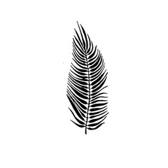 Vintage Palm Leaf Illustration