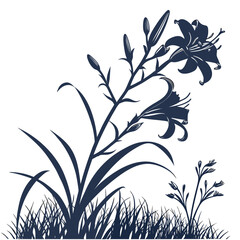 daylily highlandlord with leaves