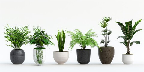 Obraz premium Set of potted plants in different sizes and types isolated on white background, minimalistic style, flat lay composition, high resolution photography