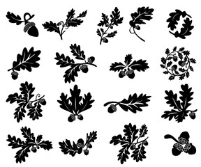 Nature autumn oak and ancorns silhouette collection
