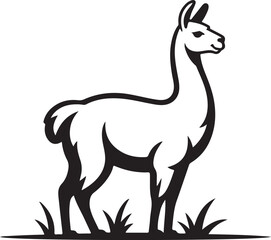 Llama Standing Silhouette Black Vector Illustration Animal Icon