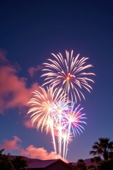 Vibrant colorful fireworks exploding in night sky du celebration with streaks of light illuminating dark clouds and silhouettes of trees and palm trees