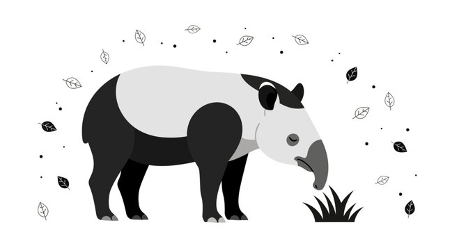 black and white tapir eating grass clip art preview