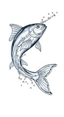 Fototapeta premium Splash of water shaped like a fish on a solid white background