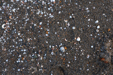 Close ground view of wet beach granules with a diagonal band marking the compacted swash zone. Mixture of tiny stones, shell grit and dark sand creates a speckled pattern. Moisture darkens © nicholasgeorgiou