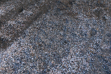 Close ground view of wet beach granules with a diagonal band marking the compacted swash zone. Mixture of tiny stones, shell grit and dark sand creates a speckled pattern. Moisture darkens © nicholasgeorgiou