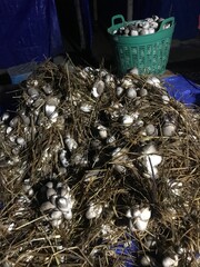 christmas tree decorations