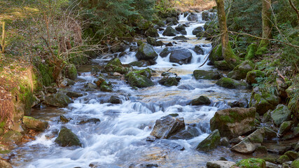 Enchanting Forest Waterfall: Cascading Mountain Stream with Autumn Foliage and Golden Sunset Light. Long Exposure Captures Silky Water Flow Over Moss Covered Rocks in Lush Green Woodland
