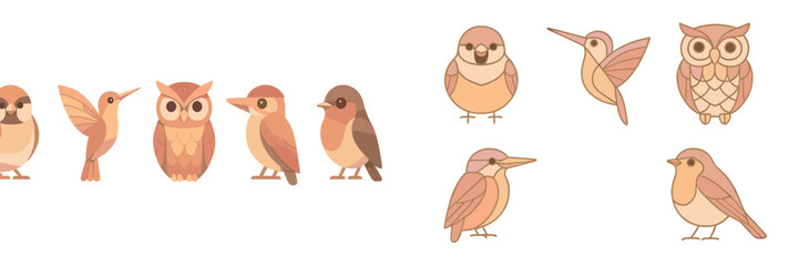 Collection of cute cartoon birds including sparrow hummingbird owl kingfisher and robin in a flat layered design