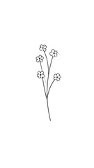 Simple black line drawing of a flower stem with small flowers