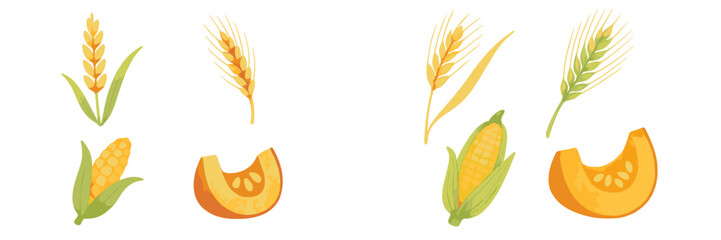 Vibrant autumn harvest collection with golden wheat stalks, fresh corn cobs, and ripe pumpkin slices, perfect for seasonal designs