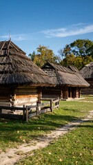 Rustic wooden houses with thatched roofs under a clear sky (1)