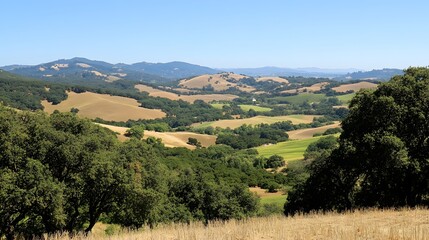Naklejka premium Serene landscape showcasing rolling hills and lush greenery under a clear blue sky in summer