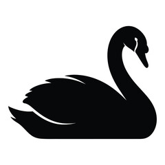 Elegant black swan silhouette swimming gracefully majestic bird aquatic wildlife symbolism silhouette