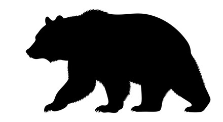 Fototapeta premium Silhouette of a large bear walking, profile view.