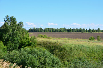 Scenic view of a plowed field with trees under a blue sky on a sunny day 