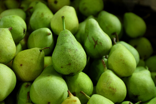 Bright green pears with long stems are stacked closely, their tapered necks and broad bases creating repeating pyriform silhouettes. Dull matte skins show minor marks and a few dark