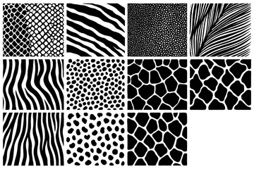 Animal skin and insect texture patterns in bold black and white, Transparent Background © FriskySloths