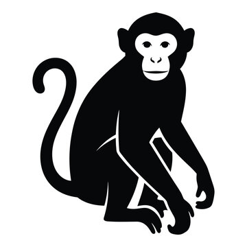 Silhouette of a sitting monkey with a long curled tail and distinct facial features silhouette