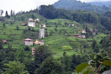 Trabzon - Hayrat - Of manzara ve köy hayatı.