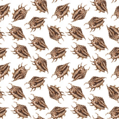 Fototapeta premium Seamless pattern with brown seashells. Hand drawn watercolor illustration of sea snails and shells on white background. Tropical clip art of coral reef animals for fabric, beach decor,wraping paper.