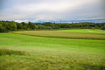 A wide green field in Uster, Zürcher Oberland, with corn crops bordered by grass meadows under a cloudy sky and surrounded by forest