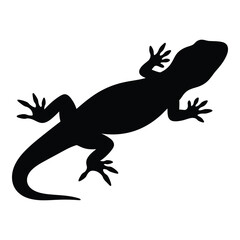 Black silhouette of a gecko lizard reptile animal on silhouette
