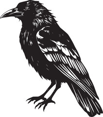 The Raven Bird. Hand drawn vector illustration