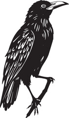 The Raven Bird. Hand drawn vector illustration