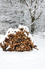 Winter has arrived in Missouri. The snow capped stack of firewood logs indicates the homeowners are prepared. Bokeh.