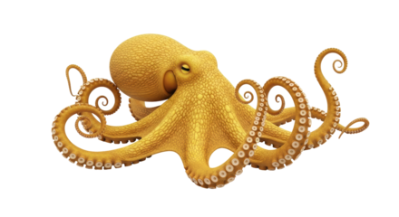 Isolated octopus with eight tentacles and suction cups, sea animal, marine life, danger