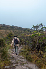 Obraz premium Persona haciendo trekking en un páramo en Colombia en un clima frío y nuboso