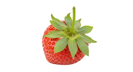 Isolated ripe strawberry fruit with calyx and stem, healthy eating concept, simple background