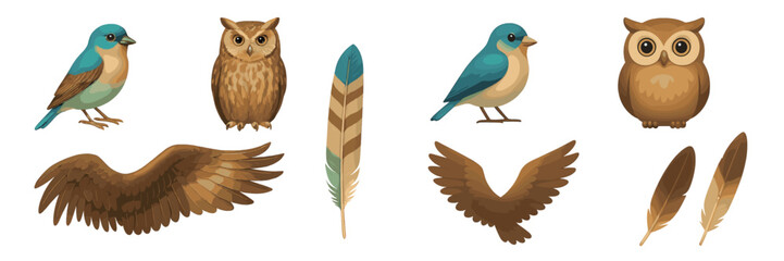 Obraz premium Collection of various bird elements including a blue bird, a brown owl, detailed wings, and natural feathers