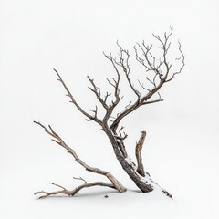 Obraz premium Dead tree branches winter ground.