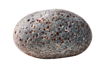Smooth oval grey stone with dark brown pitted texture isolated on a transparent background rock gray