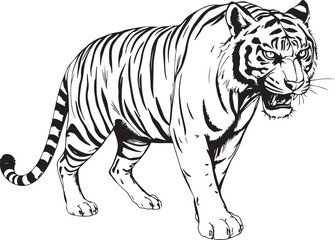 The Wild Tiger. Hand drawn vector illustration