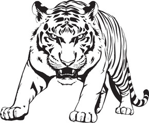 The Wild Tiger. Hand drawn vector illustration