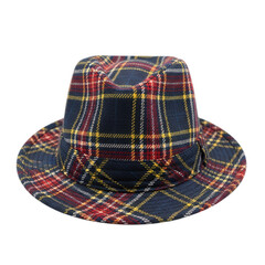 Tartan fedora hat isolated on transparent background