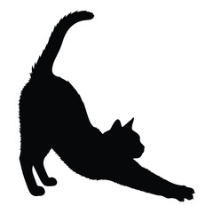 Silhouetted black cat stretching elegantly its body arched upward silhouette