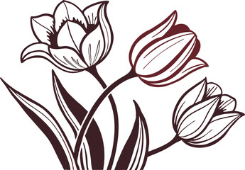 Obraz premium Elegant Line Art Tulips