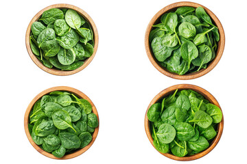 Fresh Spinach Bowls: A vibrant collection of four wooden bowls overflowing with fresh, bright green spinach leaves.