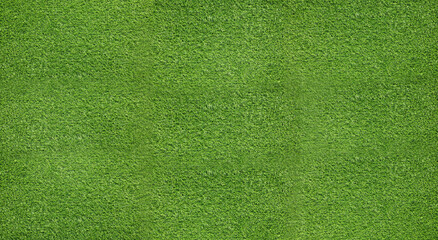 Fresh green grass as background. Banner design